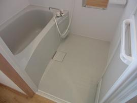 STモンステラ２－C（３月１８日空き予定）の画像