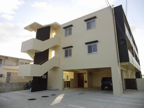 STモンステラ２－C（３月１８日空き予定）の画像